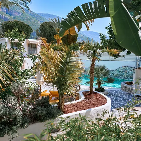 Salonika 2* אולודניץ